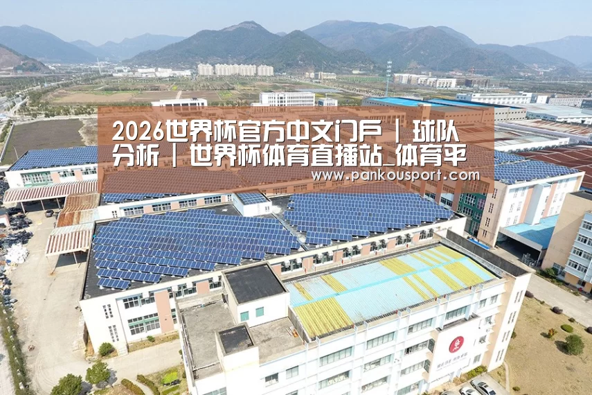 案例展示三